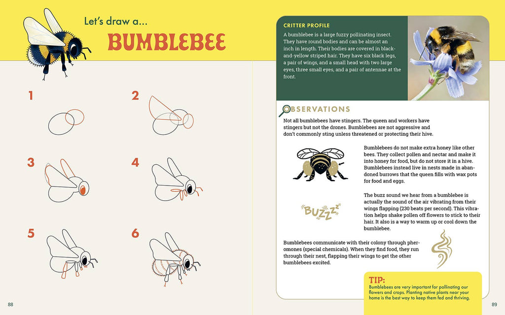 The Nature Explorer's Drawing Guide For Kids