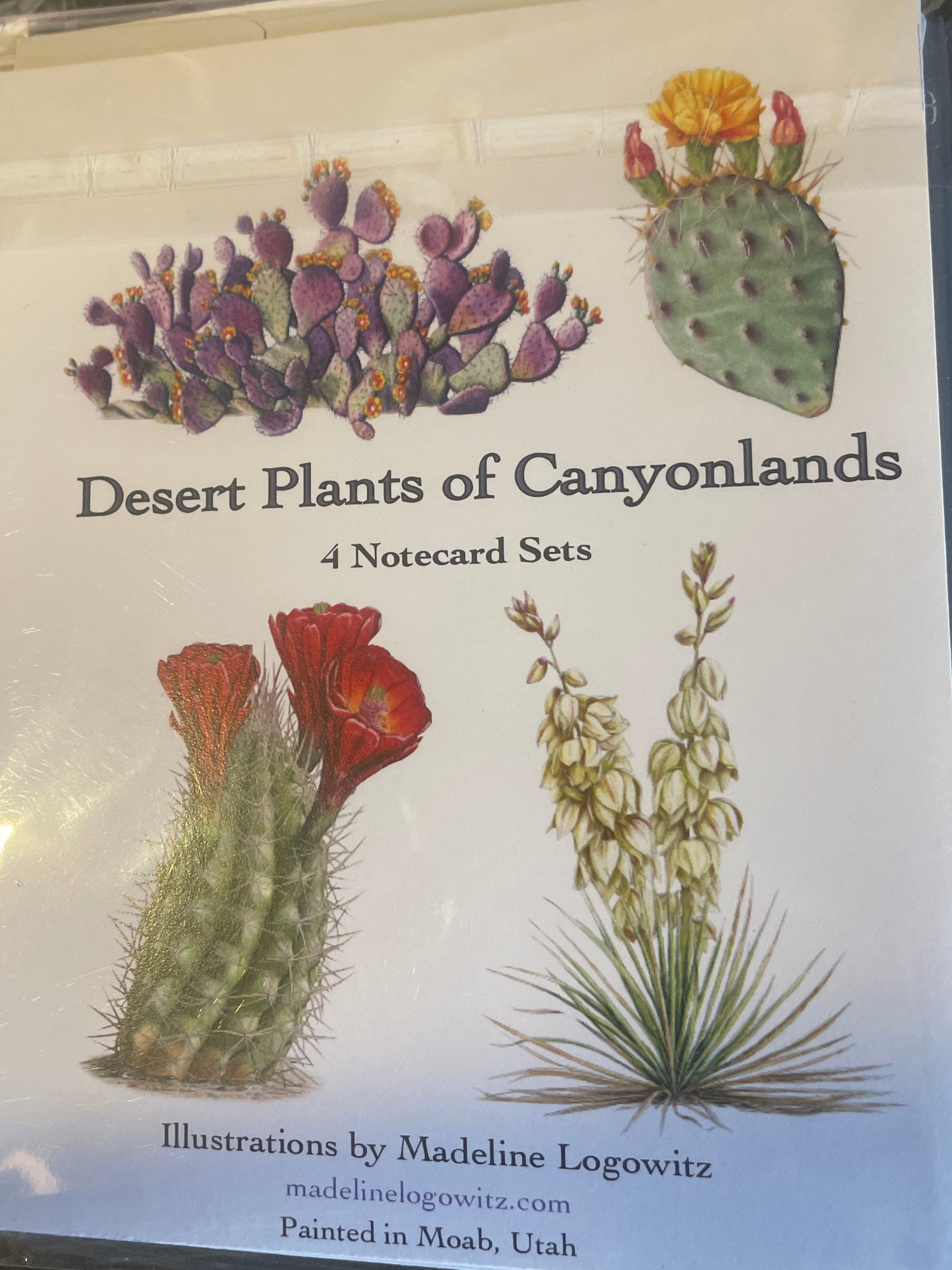 Cactus Cards 4 pack