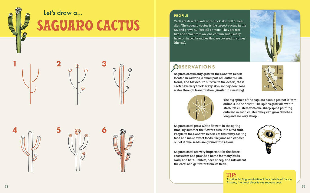 The Nature Explorer's Drawing Guide For Kids