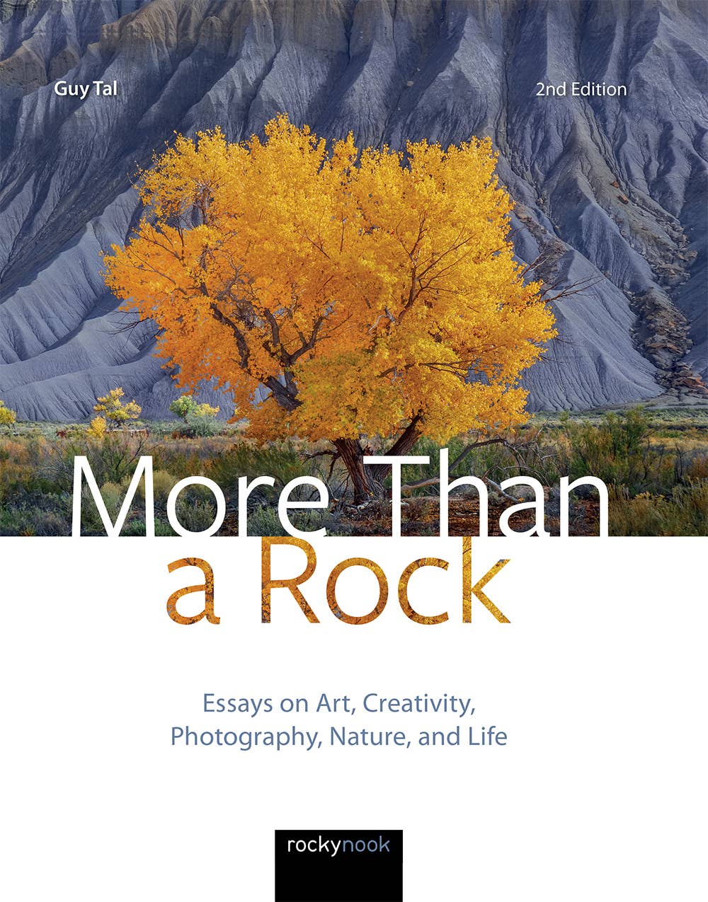 More Than A Rock, 2nd Edition