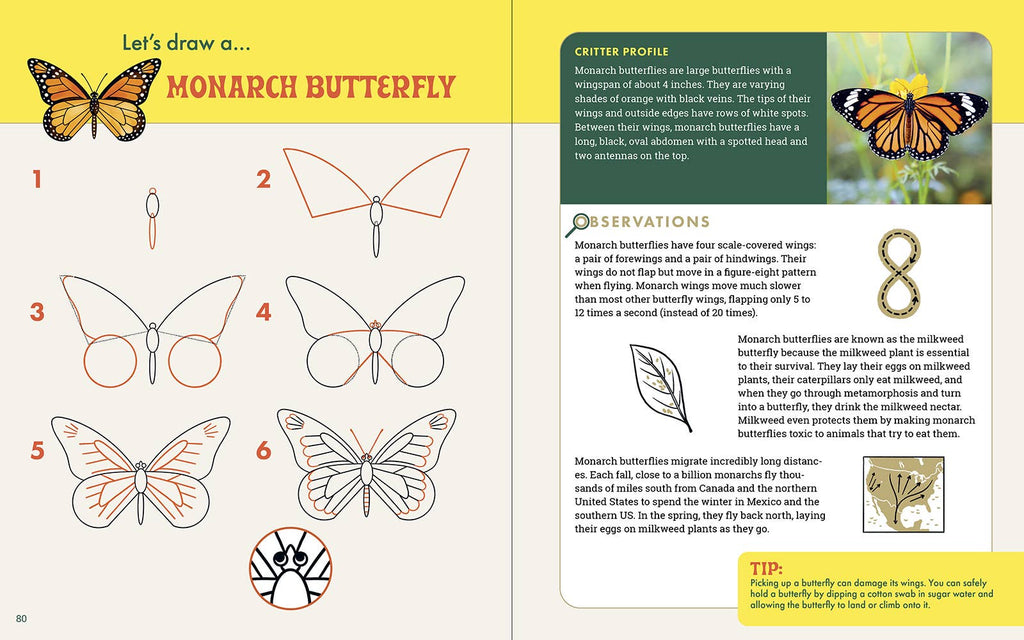 The Nature Explorer's Drawing Guide For Kids