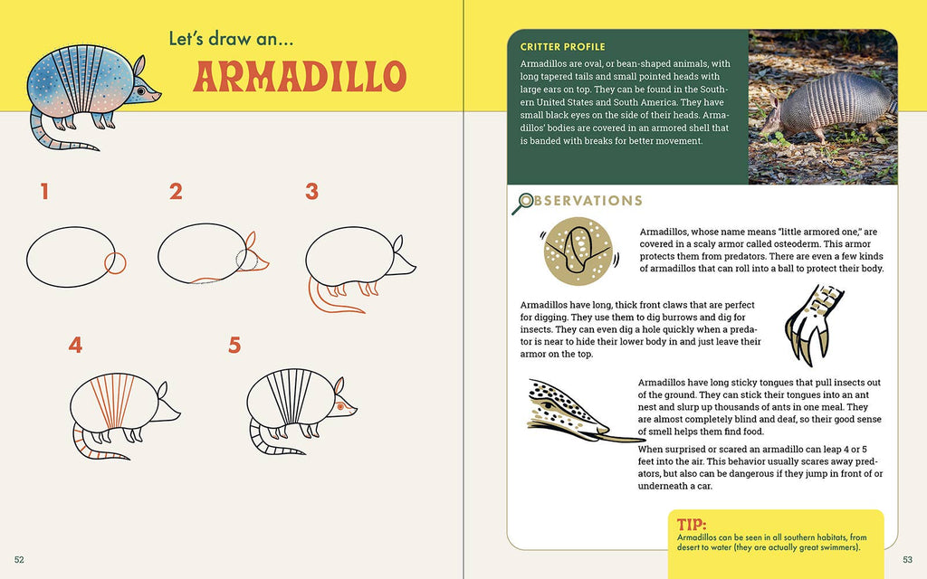 The Nature Explorer's Drawing Guide For Kids