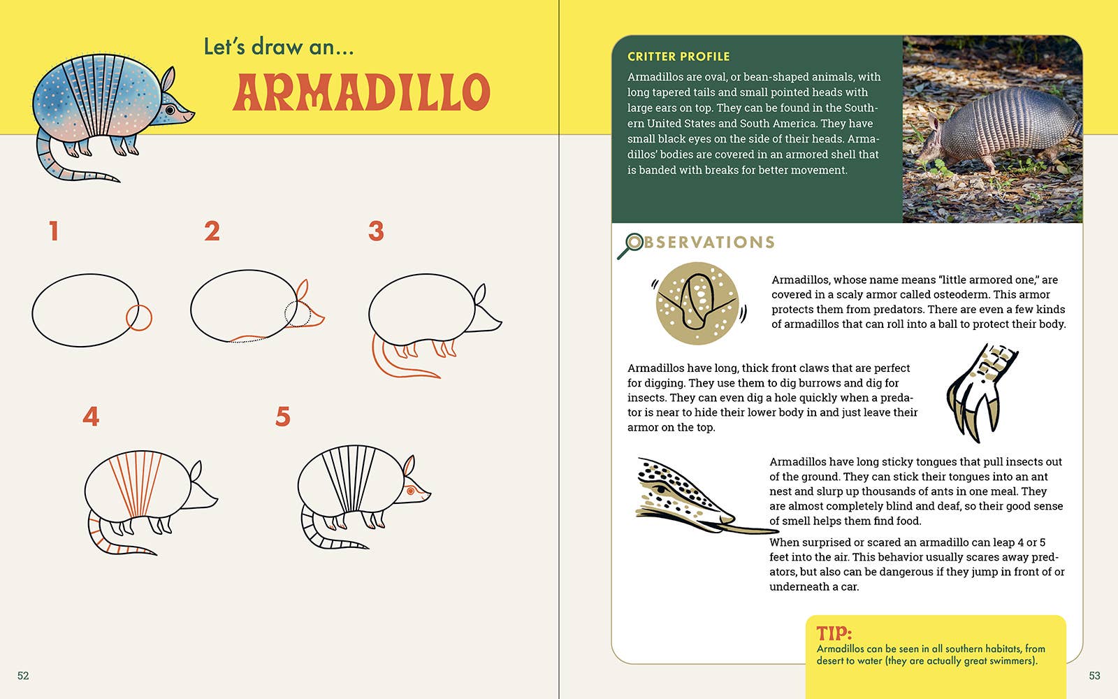 The Nature Explorer's Drawing Guide For Kids