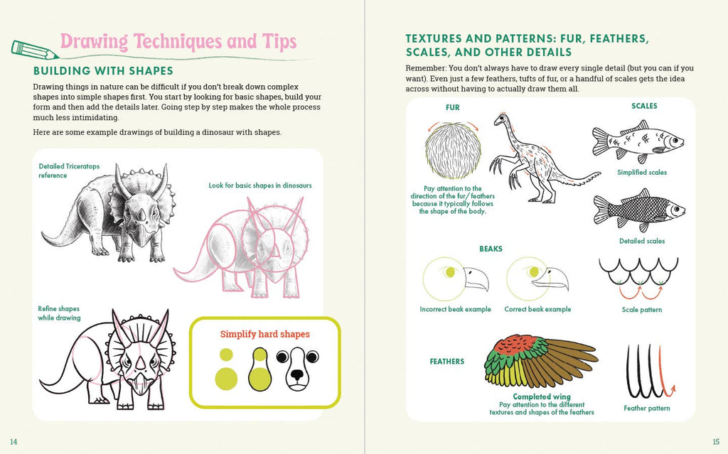 Book - The Dinosaur Explorer's Drawing Guide
