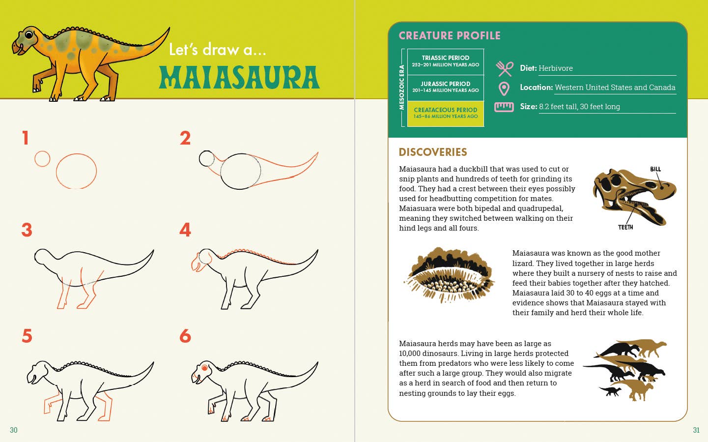 Book - The Dinosaur Explorer's Drawing Guide