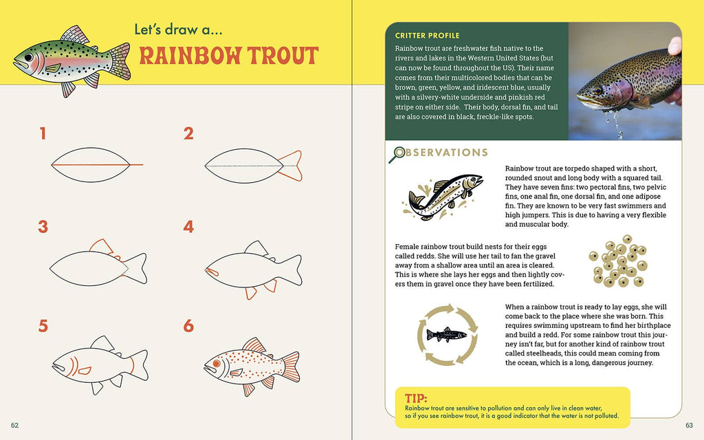 The Nature Explorer's Drawing Guide For Kids