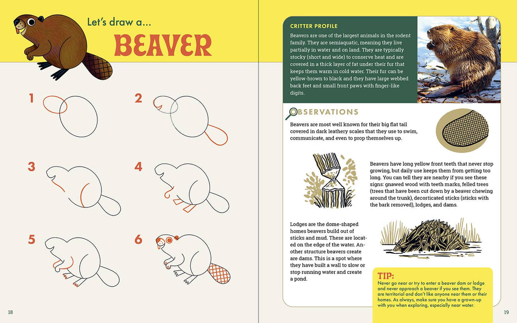 The Nature Explorer's Drawing Guide For Kids