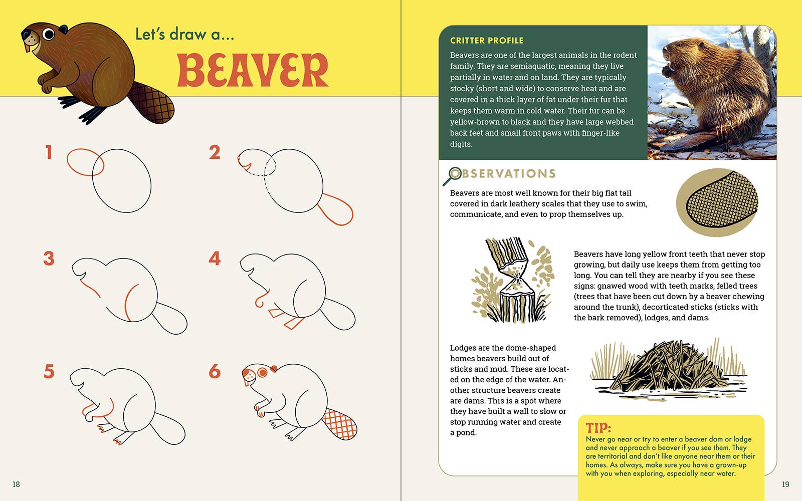 The Nature Explorer's Drawing Guide For Kids