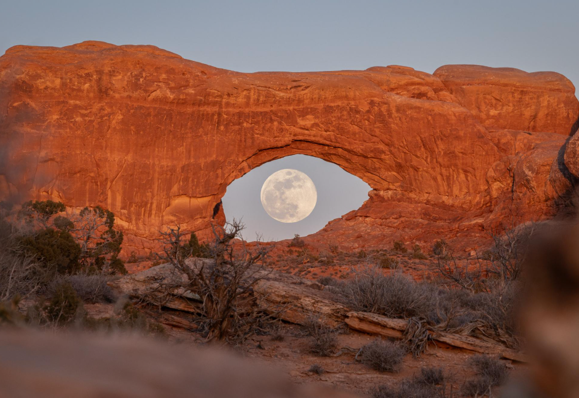 North Window Eye