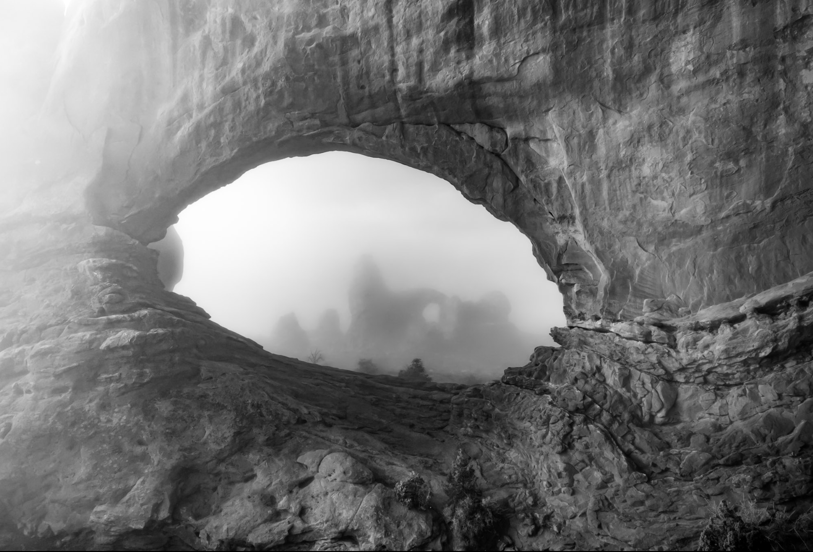 Foggy Eye