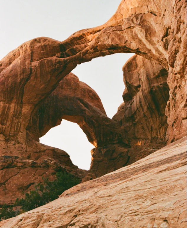Double Arch ANP - Folding Card