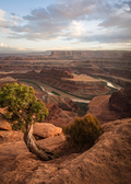 Dead Horse Point Vista
