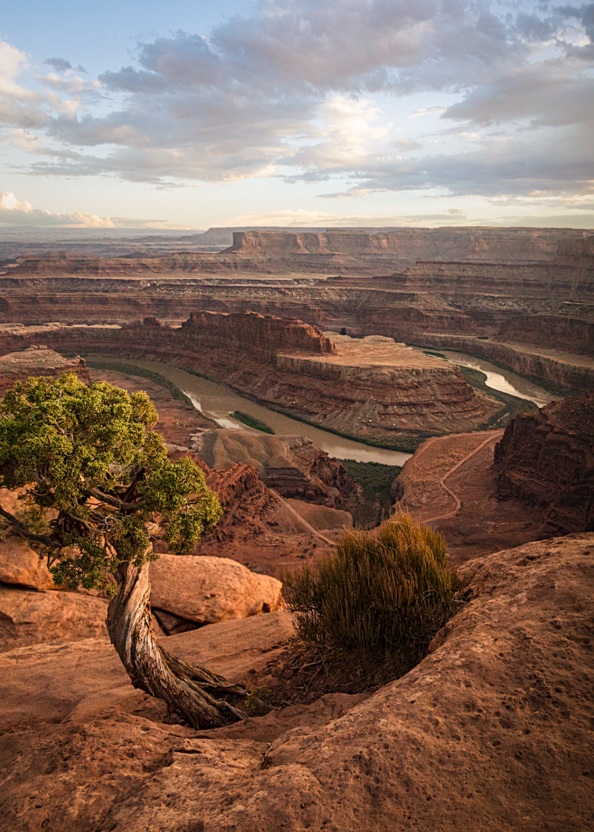 Dead Horse Point Vista