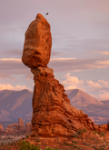 Balance & the Bird – Arches National Park