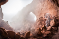 North Window Frosted Tree - Arches National Park