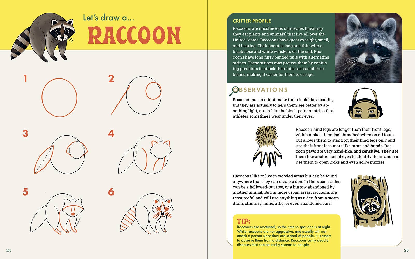 The Nature Explorer's Drawing Guide For Kids