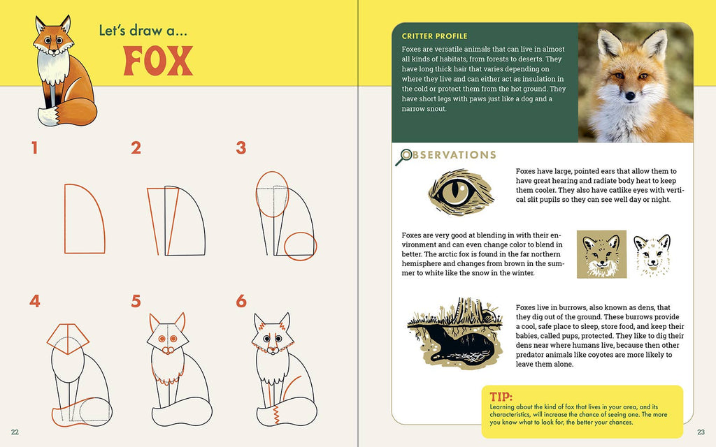The Nature Explorer's Drawing Guide For Kids