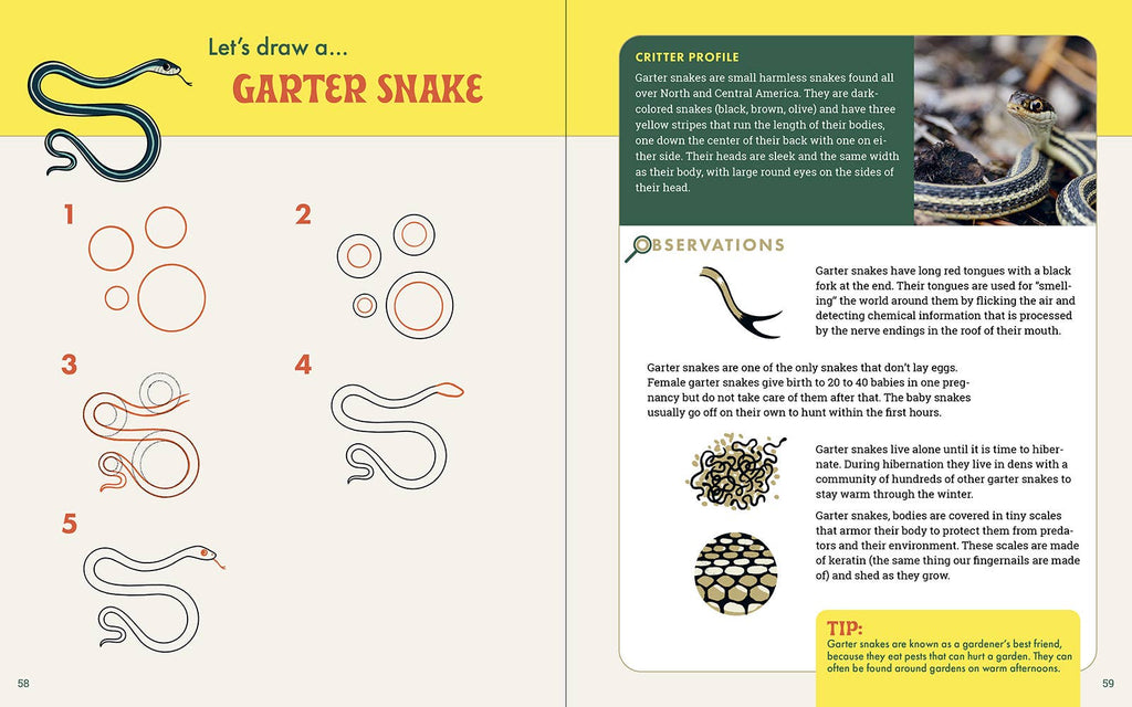 The Nature Explorer's Drawing Guide For Kids