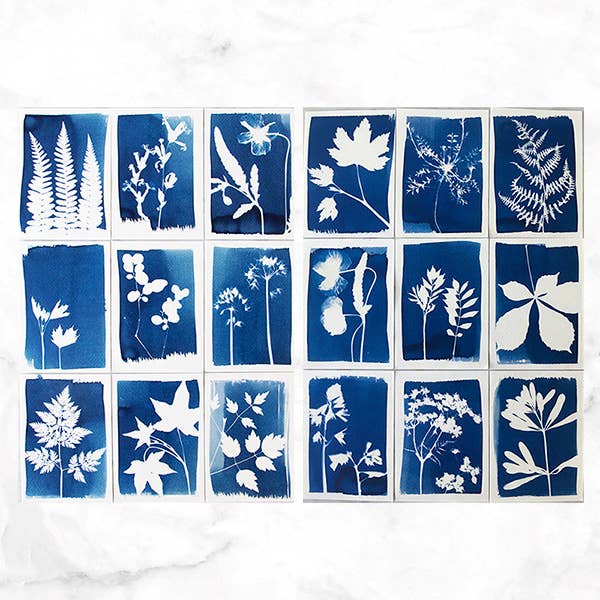 Cyanotype Kit – DIY kit to make blueprints / sun prints 🌞