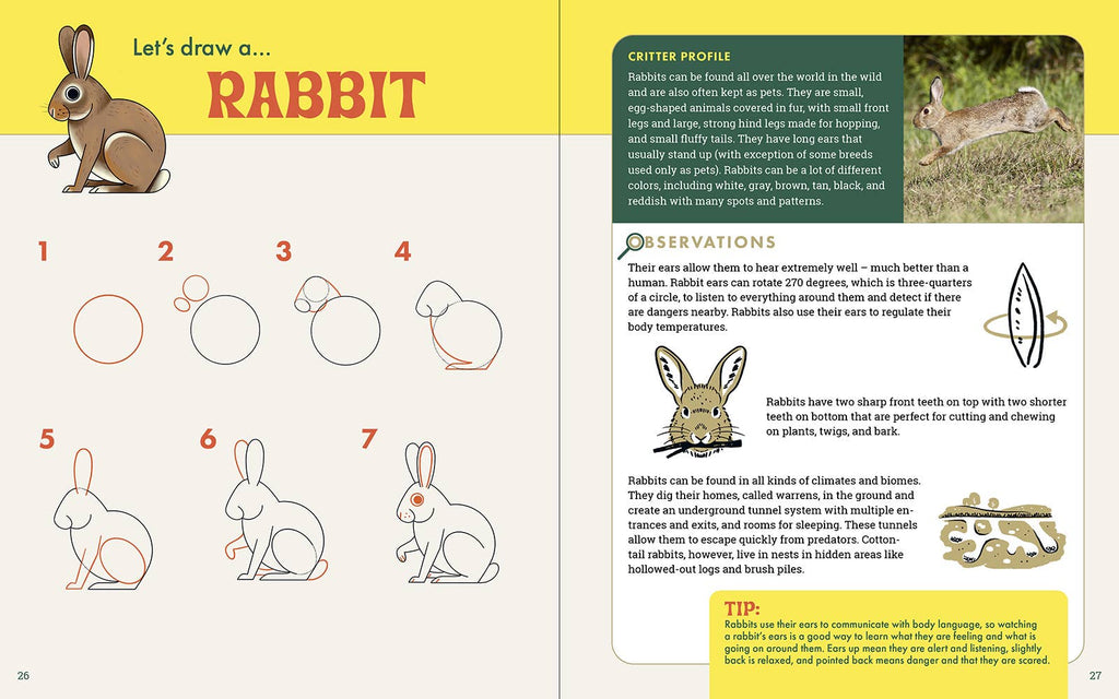 The Nature Explorer's Drawing Guide For Kids