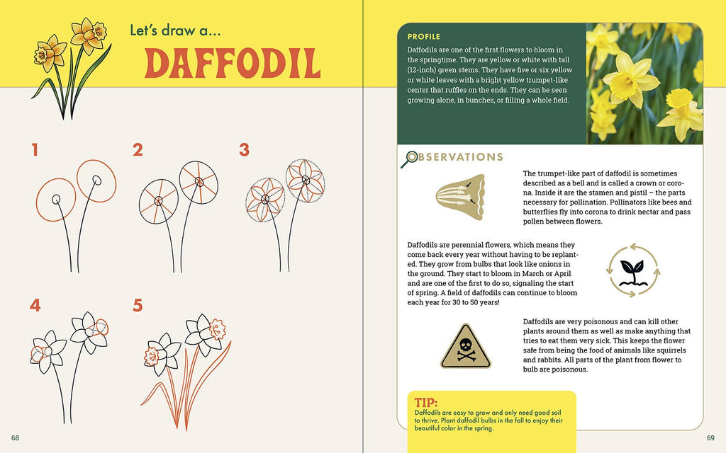 The Nature Explorer's Drawing Guide For Kids