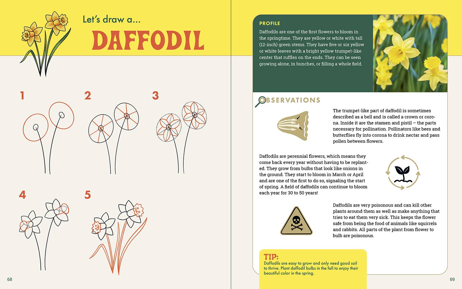 The Nature Explorer's Drawing Guide For Kids
